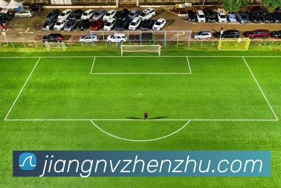 芒果体育平台生态图